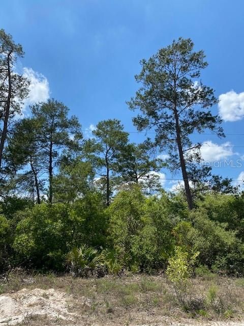 Recently Sold: $34,999 (1.02 acres)