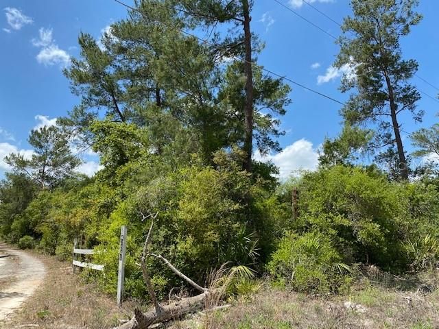 Recently Sold: $34,999 (1.02 acres)