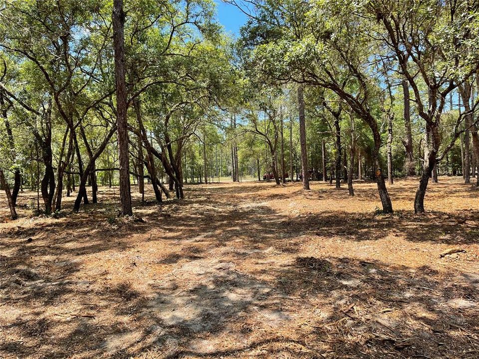 Recently Sold: $85,000 (4.33 acres)