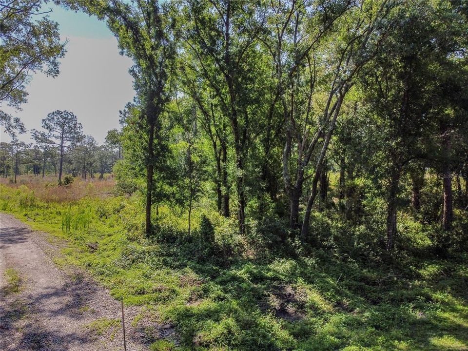 Recently Sold: $39,900 (0.25 acres)