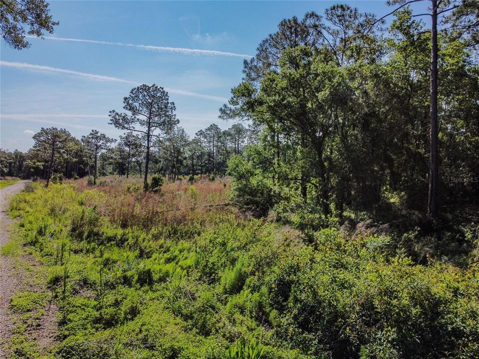 Recently Sold: $39,900 (0.25 acres)