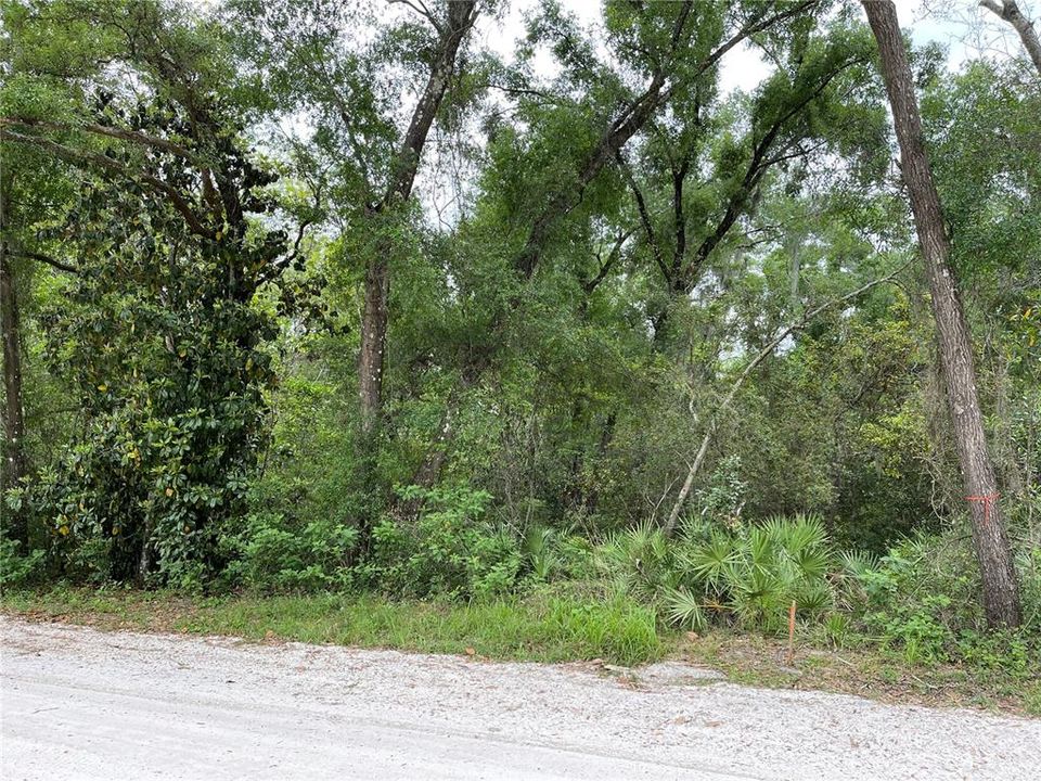 Vendido Recientemente: $30,000 (0.17 acres)