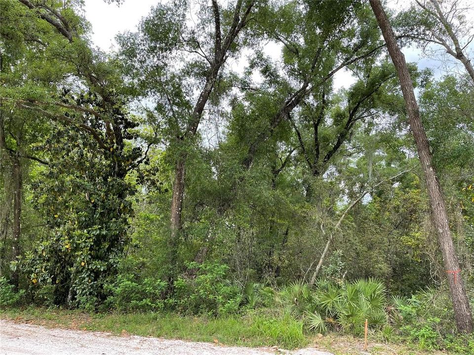 Vendido Recientemente: $30,000 (0.17 acres)