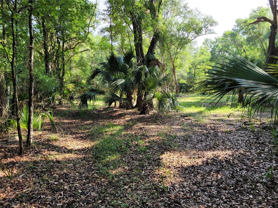 Recently Sold: $39,000 (0.97 acres)