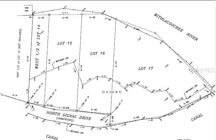 Survey showing the wetlands line