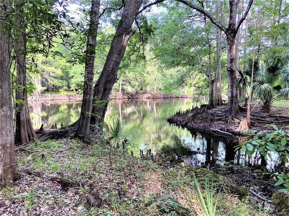 LOOKING OUT FROM PROPERTY CANAL ON RIGHT