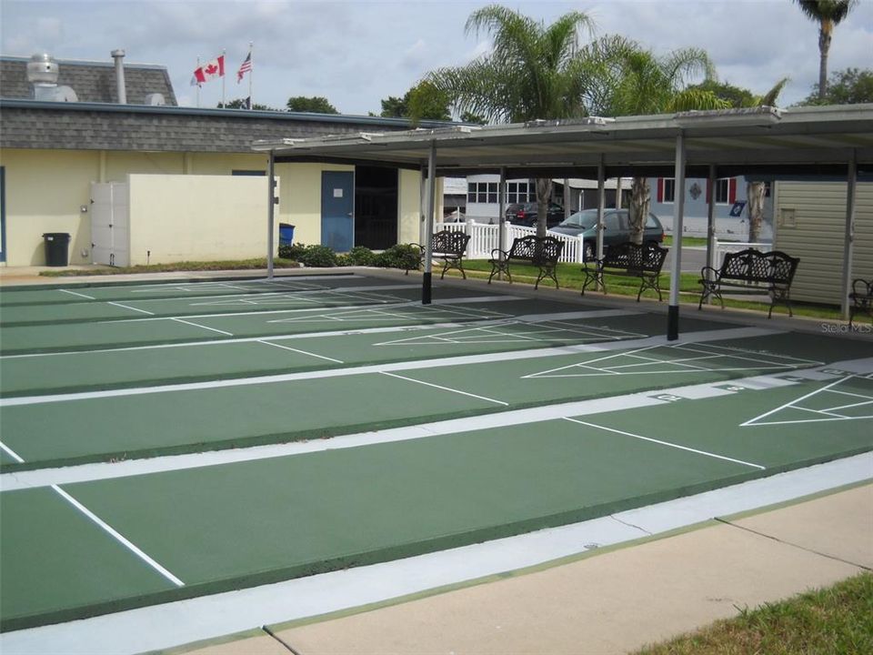 Shuffle Board Courts