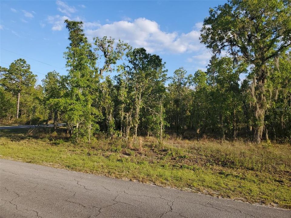 Recently Sold: $12,000 (0.23 acres)