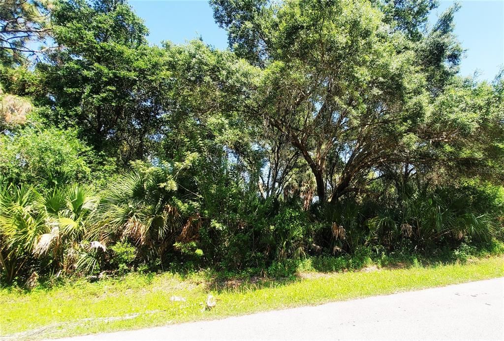 Vendido Recientemente: $21,500 (0.23 acres)