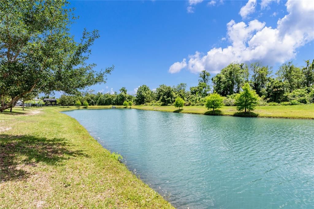Serene MATURE TREES and the WATER VIEW make this one a MUST SEE!