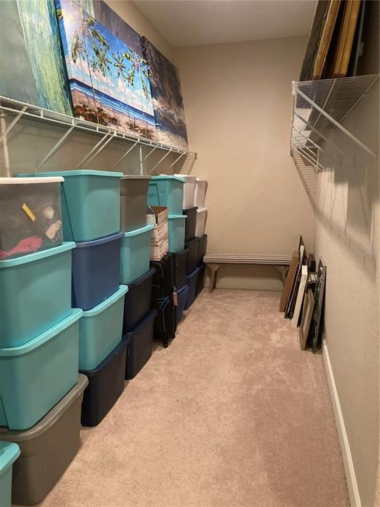30+ FT OF CLOSET SHELVING AND CLOTHING SPACE