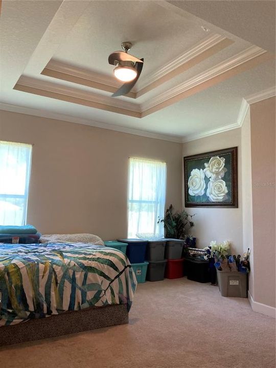 MBR - DOUBLE TRAY CEILING W/ CROWN MOLDING AND SITTING AREA