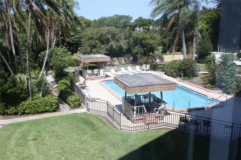 View of the pool from the unit.