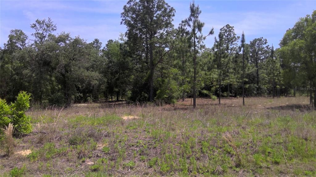 Recently Sold: $12,900 (1.04 acres)