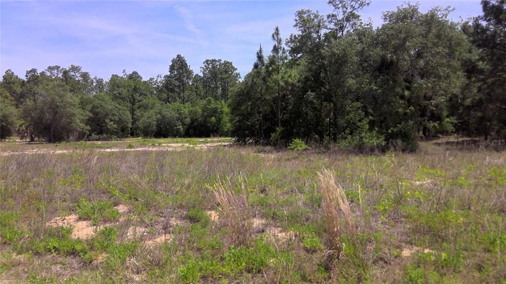 Recently Sold: $12,900 (1.04 acres)
