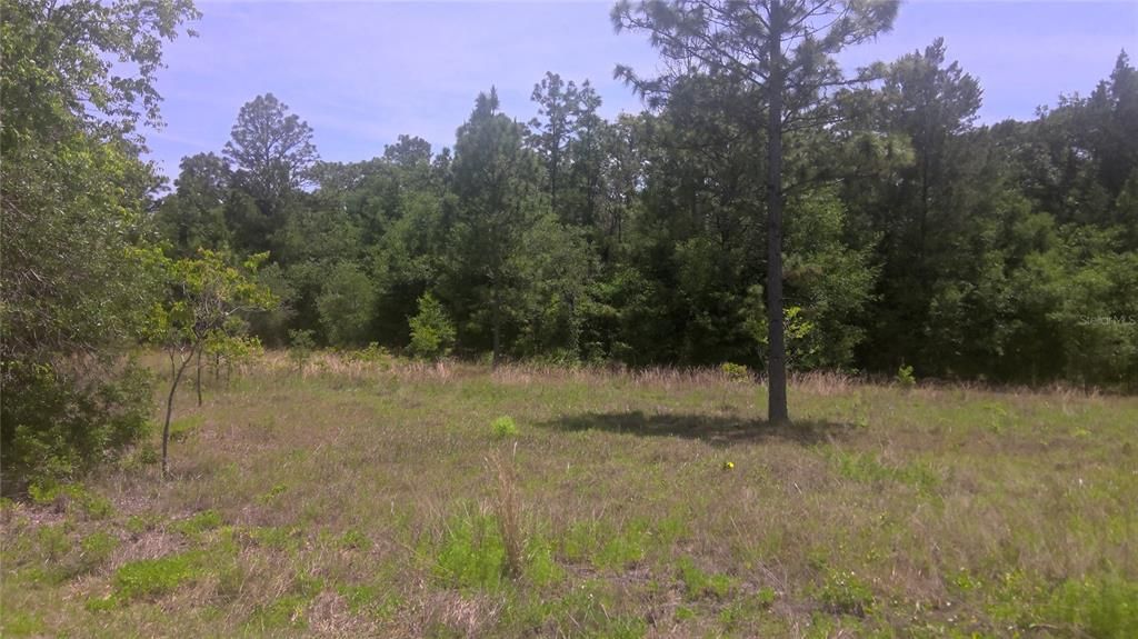 Recently Sold: $12,900 (1.06 acres)