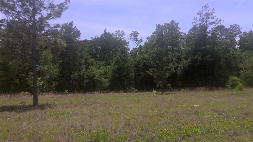 Recently Sold: $12,900 (1.06 acres)