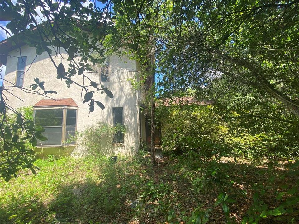 Front of House-Front Door in the Center / Behind Tree