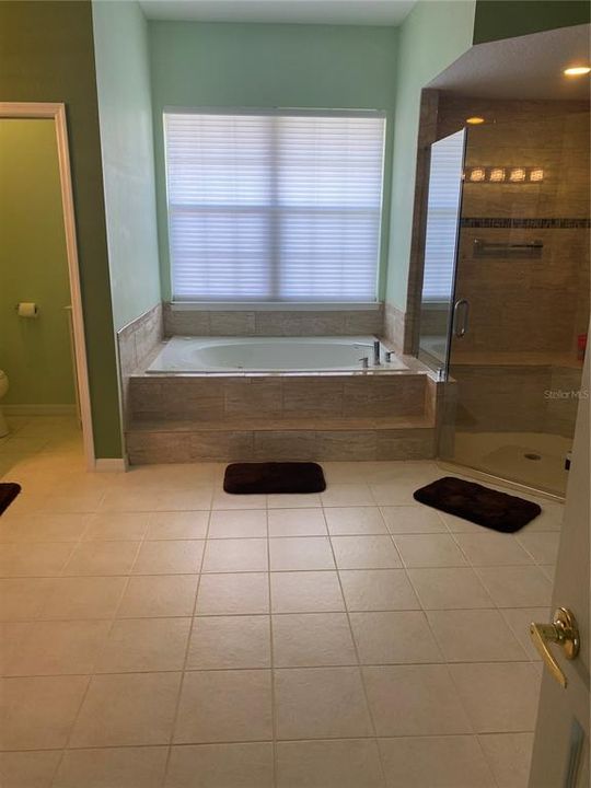 master bath and shower