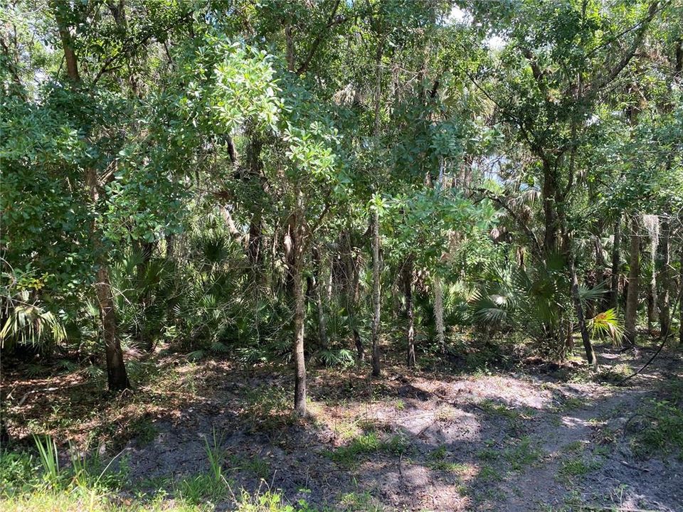 Recently Sold: $25,000 (5.15 acres)