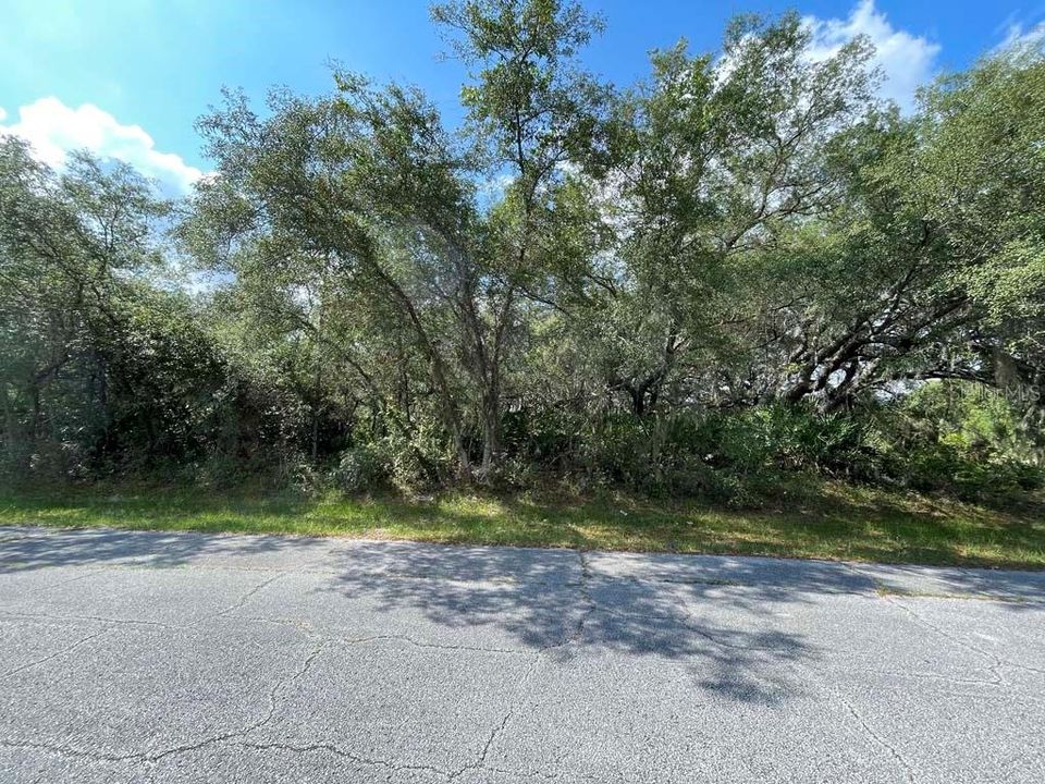 Recently Sold: $29,000 (0.31 acres)