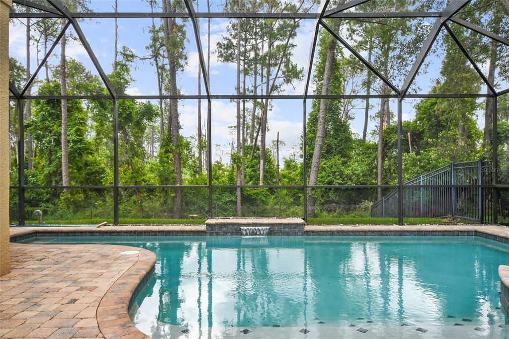 Huge pool and spa on conservation lot