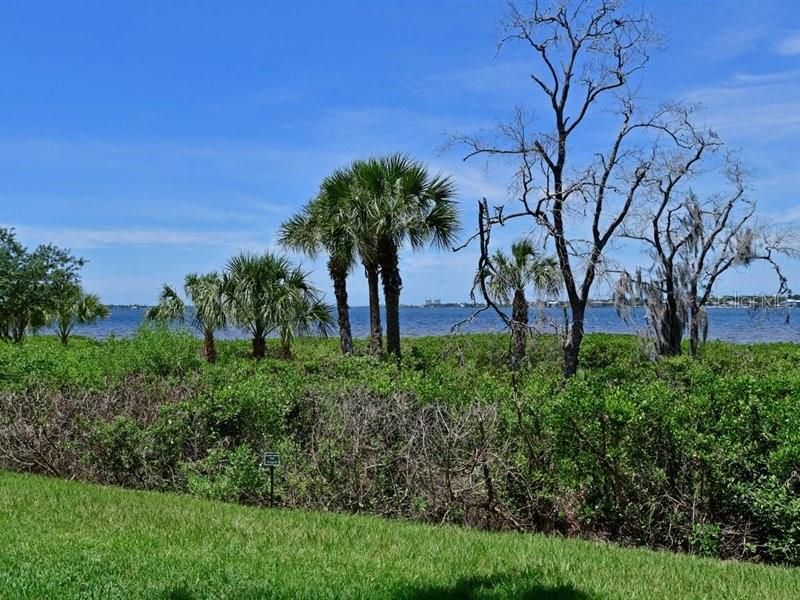 Full River Views from your ground floor condo in Tidewater Preserve the Shores.