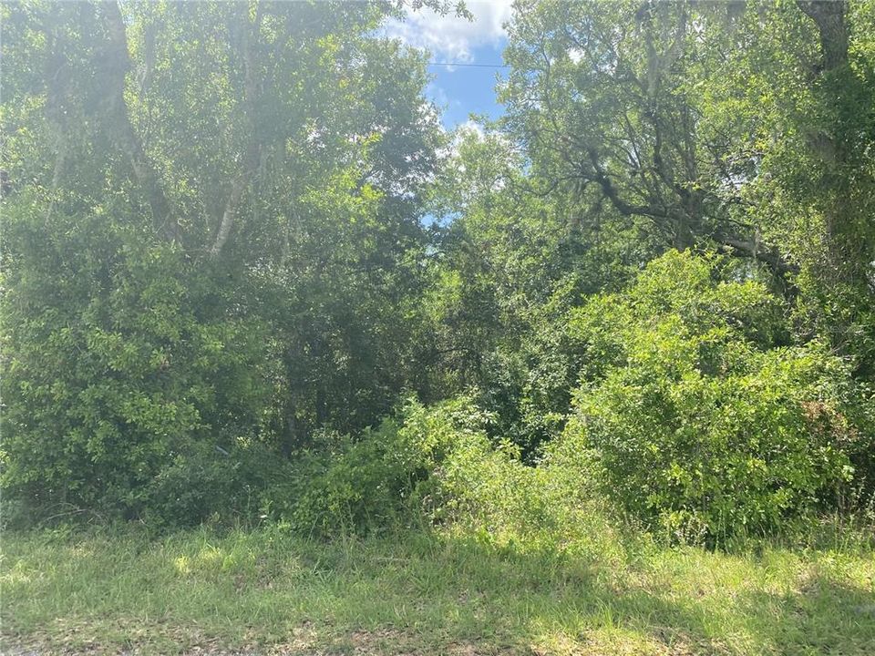 Recently Sold: $89,900 (5.51 acres)