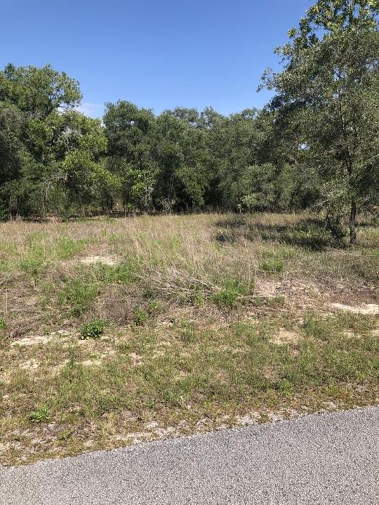 Recently Sold: $13,500 (0.99 acres)