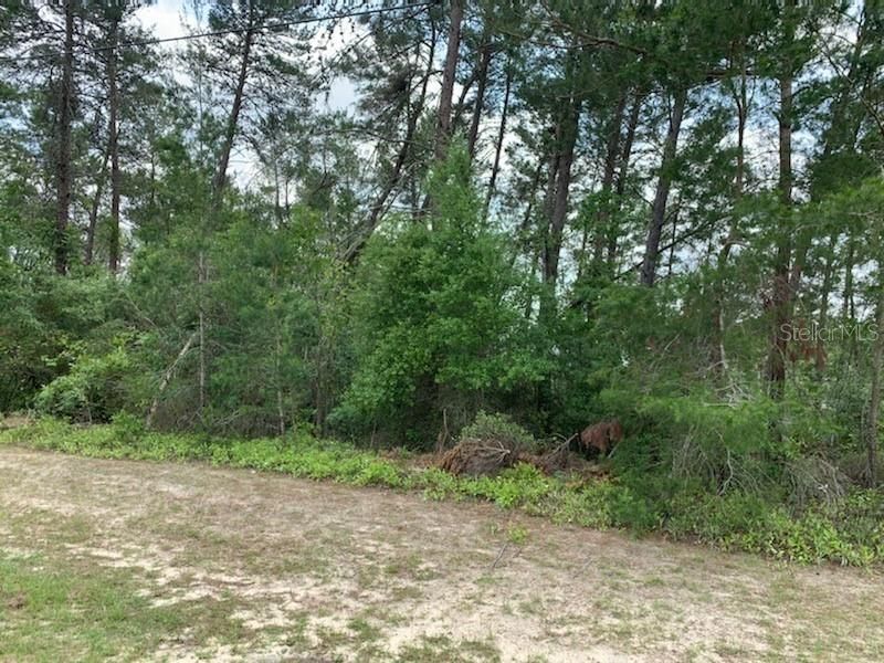 Recently Sold: $19,999 (0.24 acres)