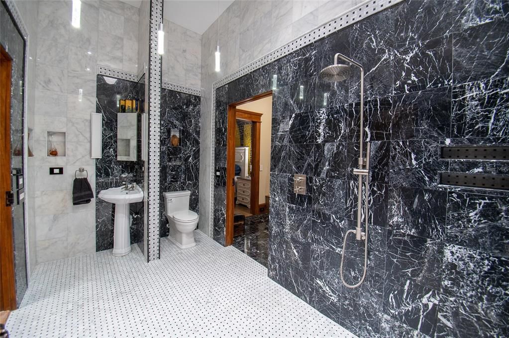 Master bathroom is an art deco open style that is also handicap accessible.