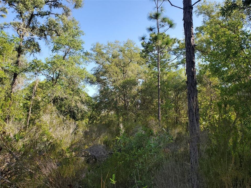 Recently Sold: $24,900 (2.50 acres)