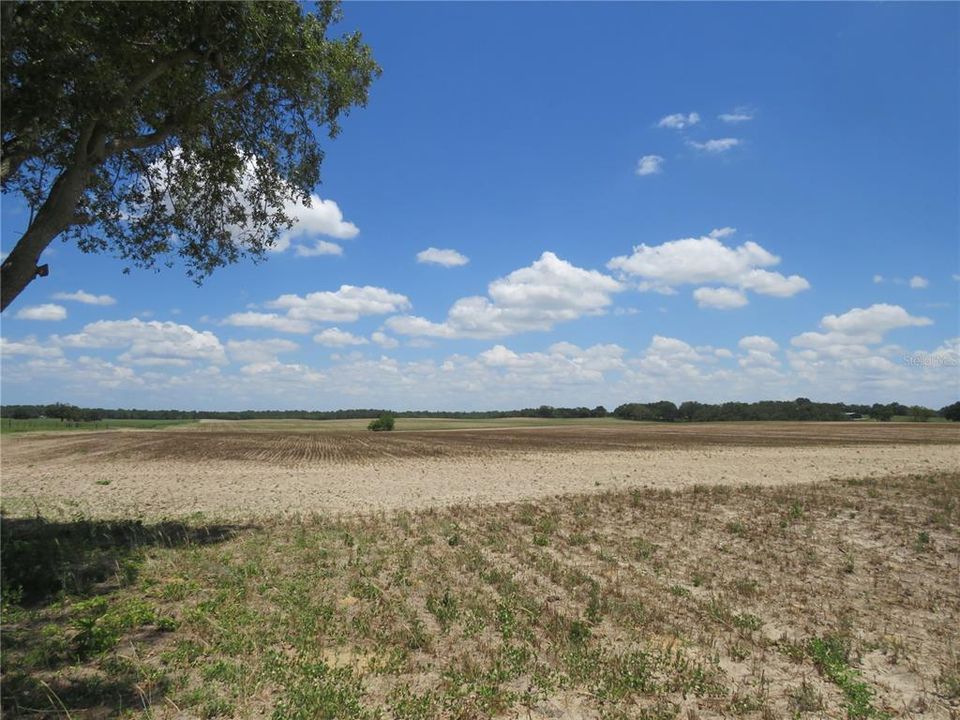 Recently Sold: $950,000 (100.00 acres)