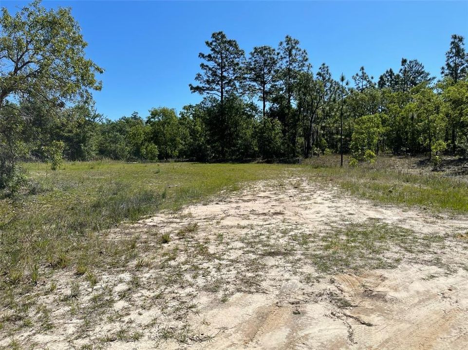 Recently Sold: $55,000 (1.23 acres)