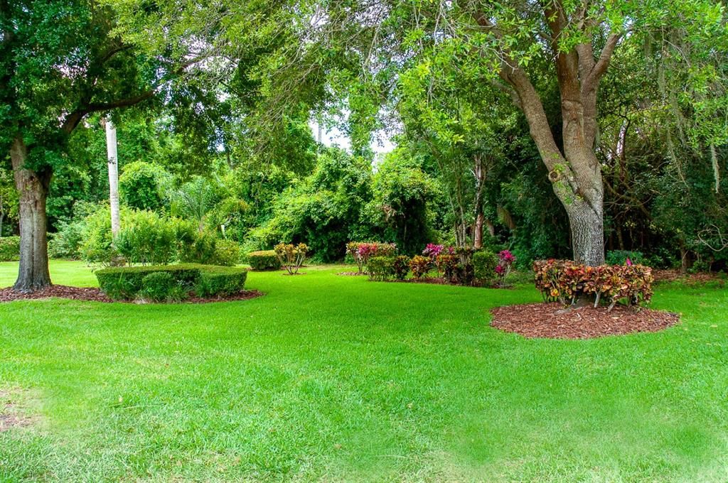The backyard is blessed with large shade trees and quality landscaping.