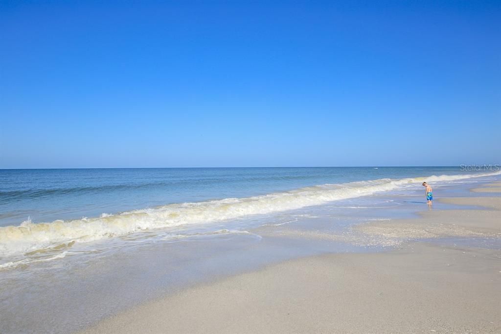 Enjoy walking or shelling along the intimate & serene beaches on Little Gasparilla Island