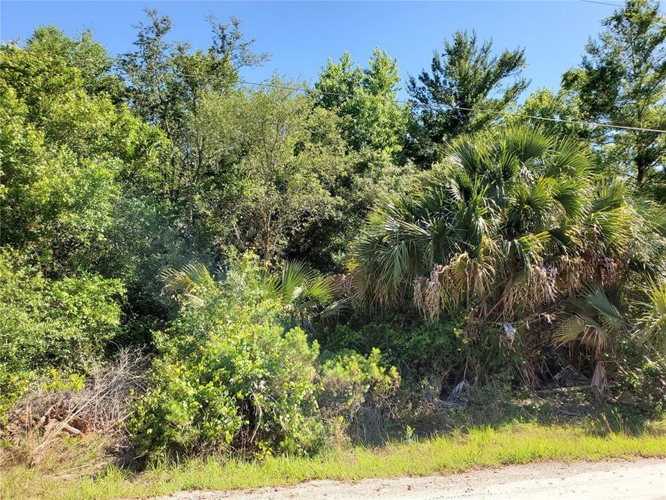 Recently Sold: $11,000 (0.39 acres)