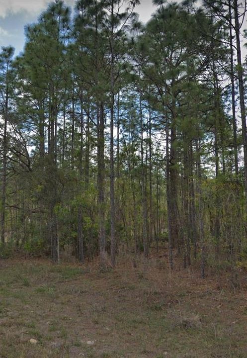 Recently Sold: $20,000 (0.48 acres)