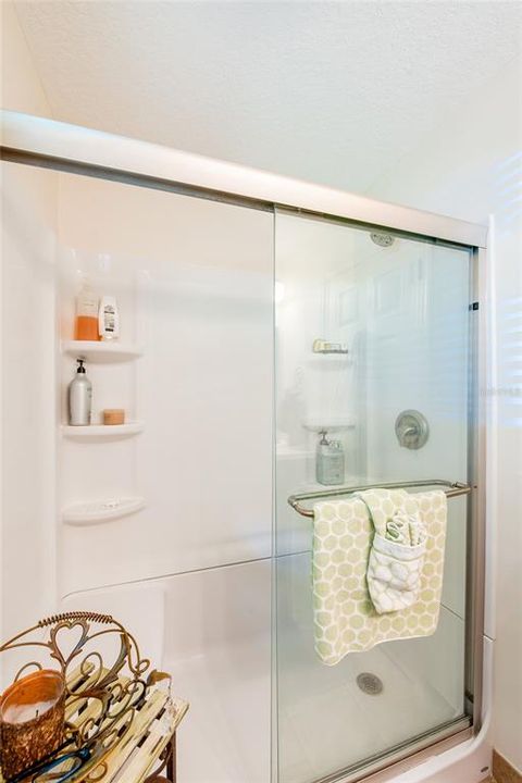 Guest bathroom with large walk in shower