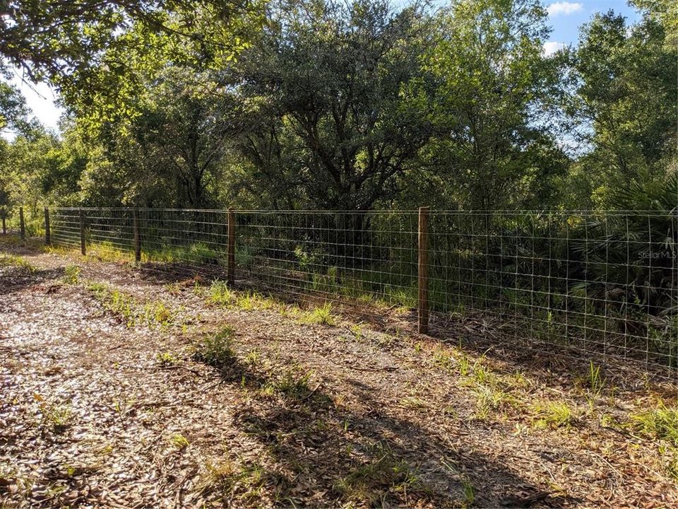 New wood post with hog wire fence, fully around property.