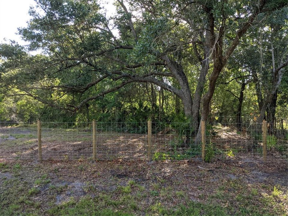 New wood post with hog wire fence surrounding property.