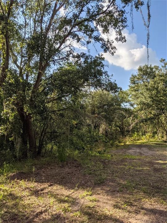 Recently Sold: $155,000 (5.06 acres)