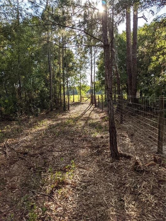 Fully fenced with new wood post and hog wire fence and local Florida trees and flowers
