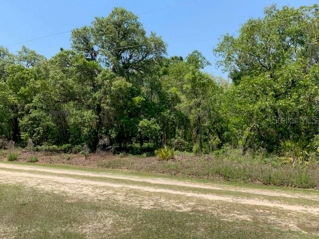 Recently Sold: $29,999 (1.05 acres)
