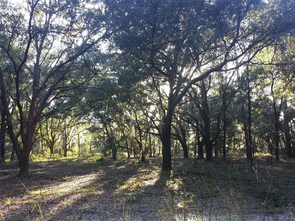 Recently Sold: $625,000 (30.00 acres)