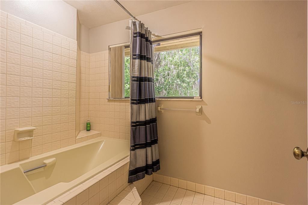 Master Bathroom with Stand-up shower and garden tub.