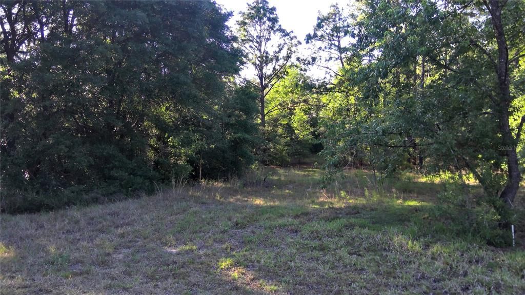 Recently Sold: $13,300 (1.02 acres)