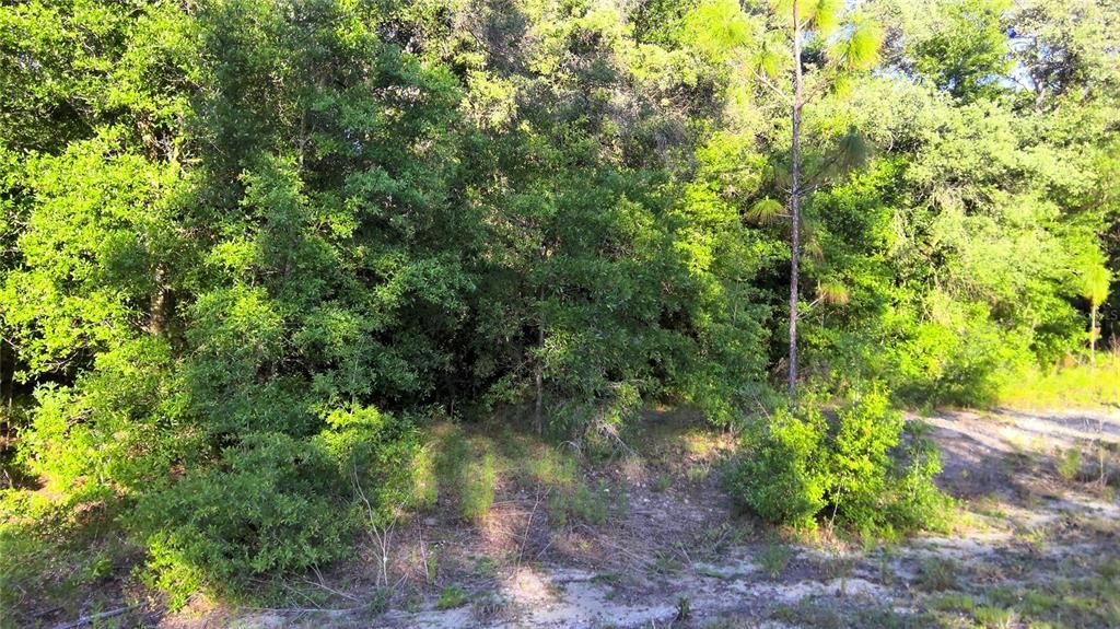 Recently Sold: $13,300 (0.99 acres)