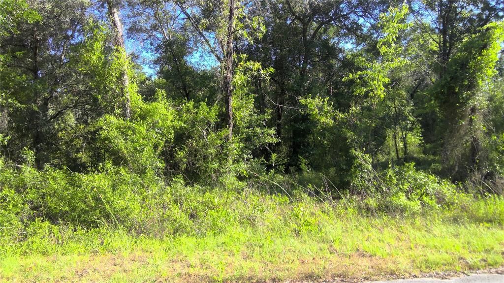 Recently Sold: $13,300 (1.02 acres)