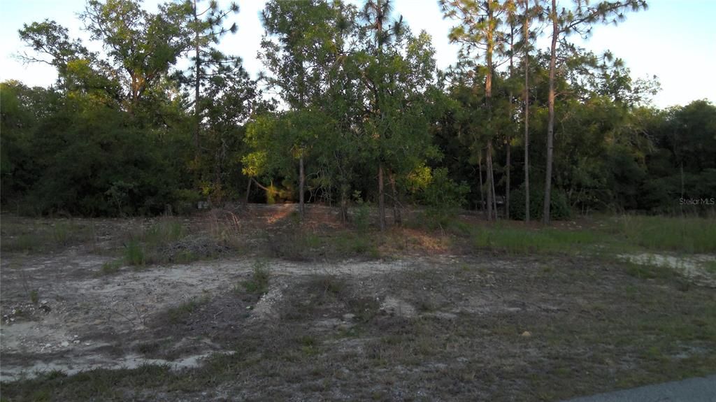Recently Sold: $13,300 (0.99 acres)